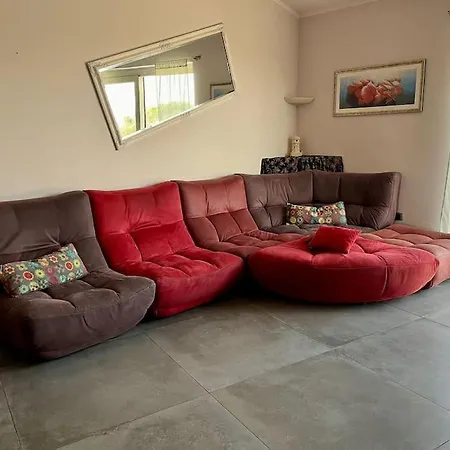 Brulia